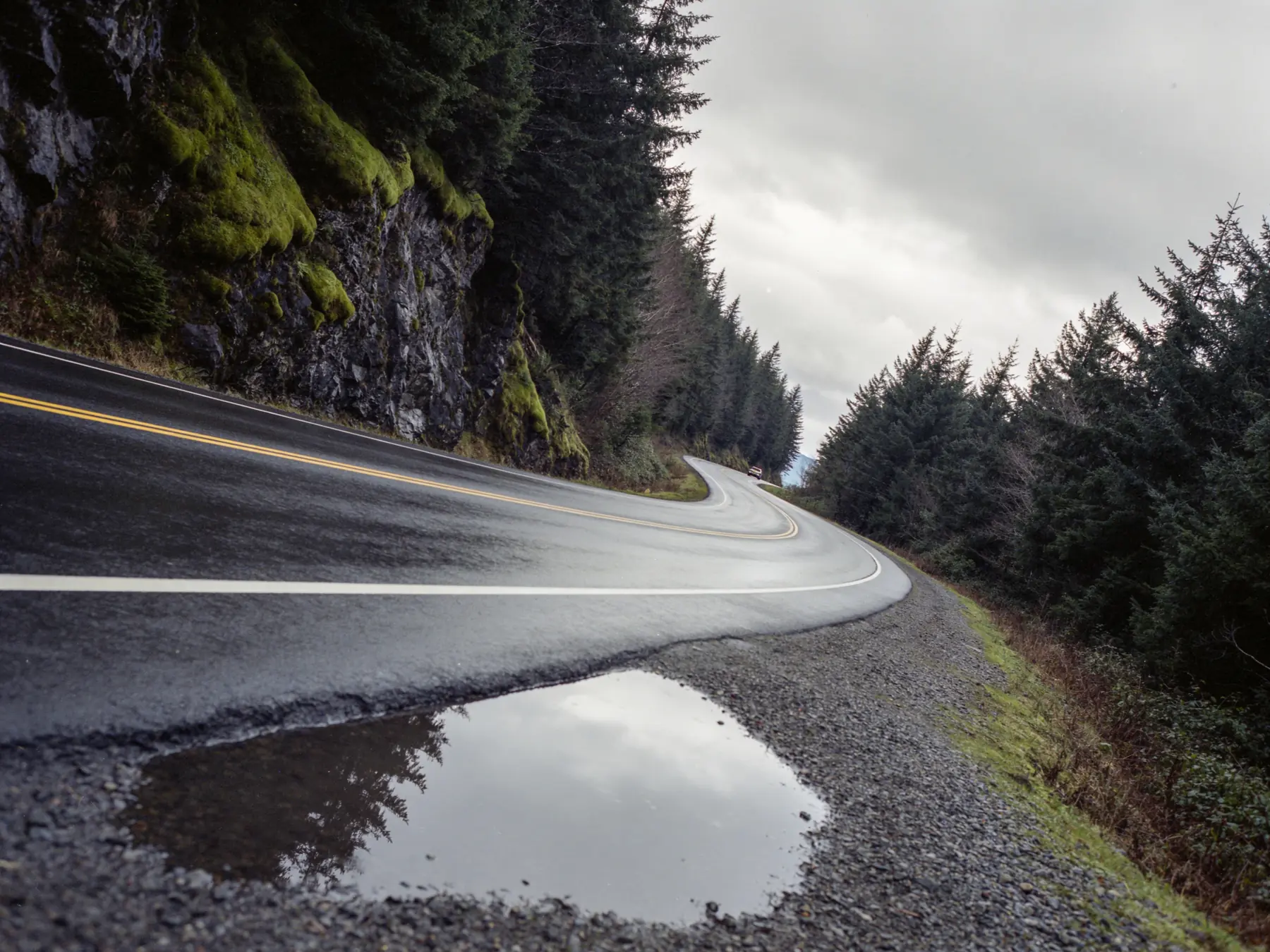 A wet coastal road under low cloud with conifers on both sides